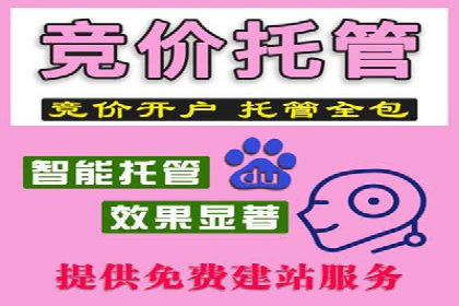 SEM竞价托管代运营成功案例解析